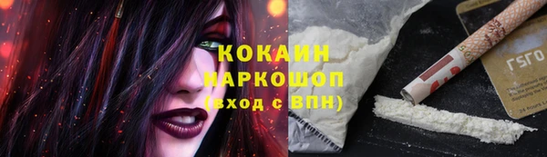 хмурый Арсеньев
