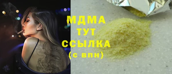 хмурый Арсеньев