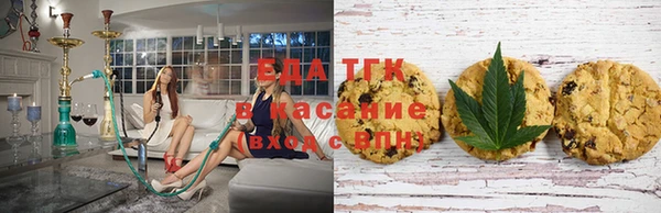 хмурый Арсеньев