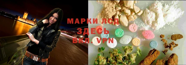 дживик Аркадак
