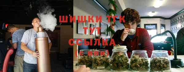 хмурый Арсеньев